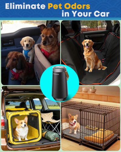 Ozone Odor Eliminator for Car &Home - Ozone Generator - timeageair.com